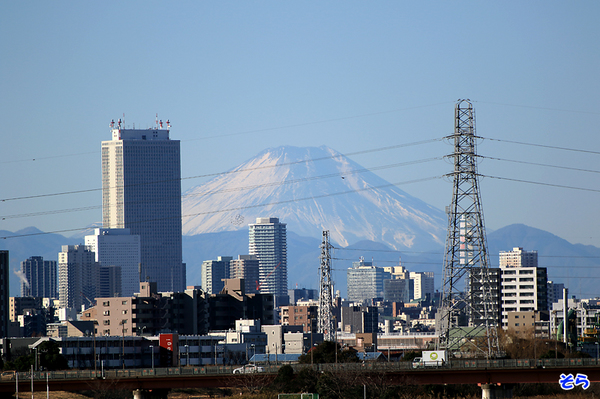 富士山電線あり_2417.jpg