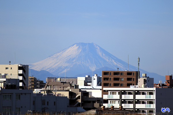 富士山_2427.jpg