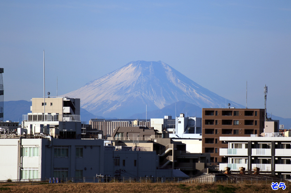富士山_2430.jpg